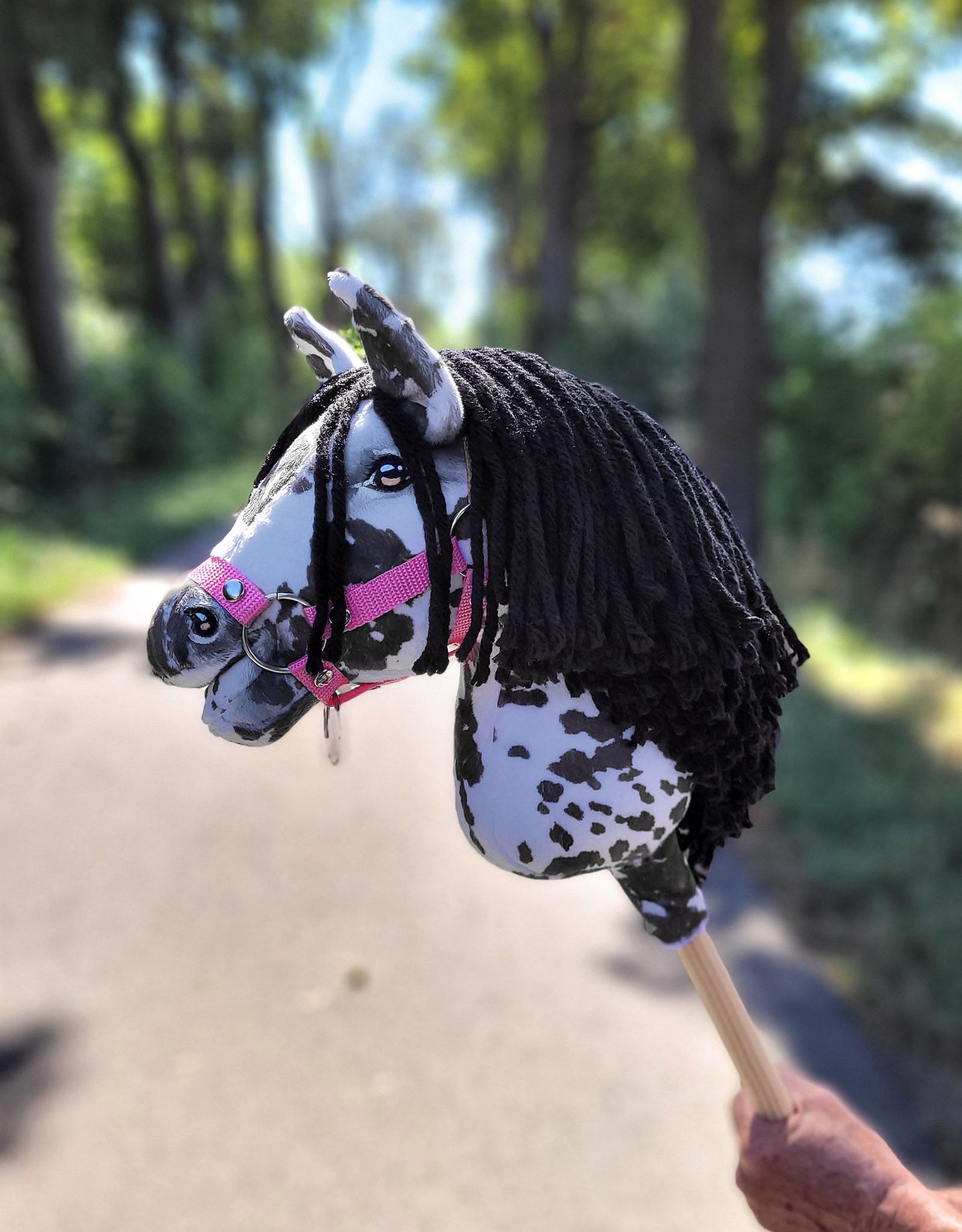HORSE-41-A4