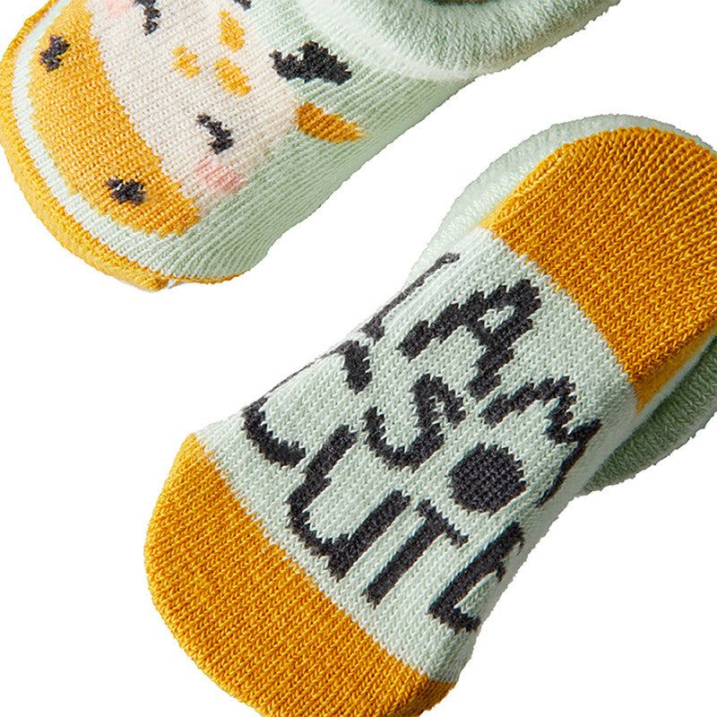 Apollo babies jungle giftbox