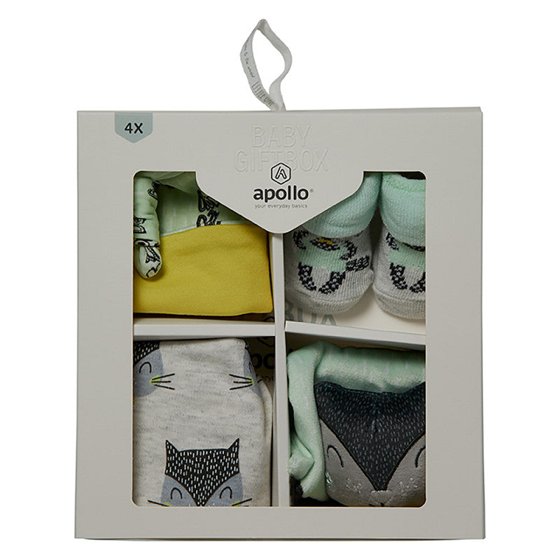 Apollo babies cat giftbox