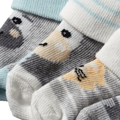 Apollo new born socks giftbox 4-pack