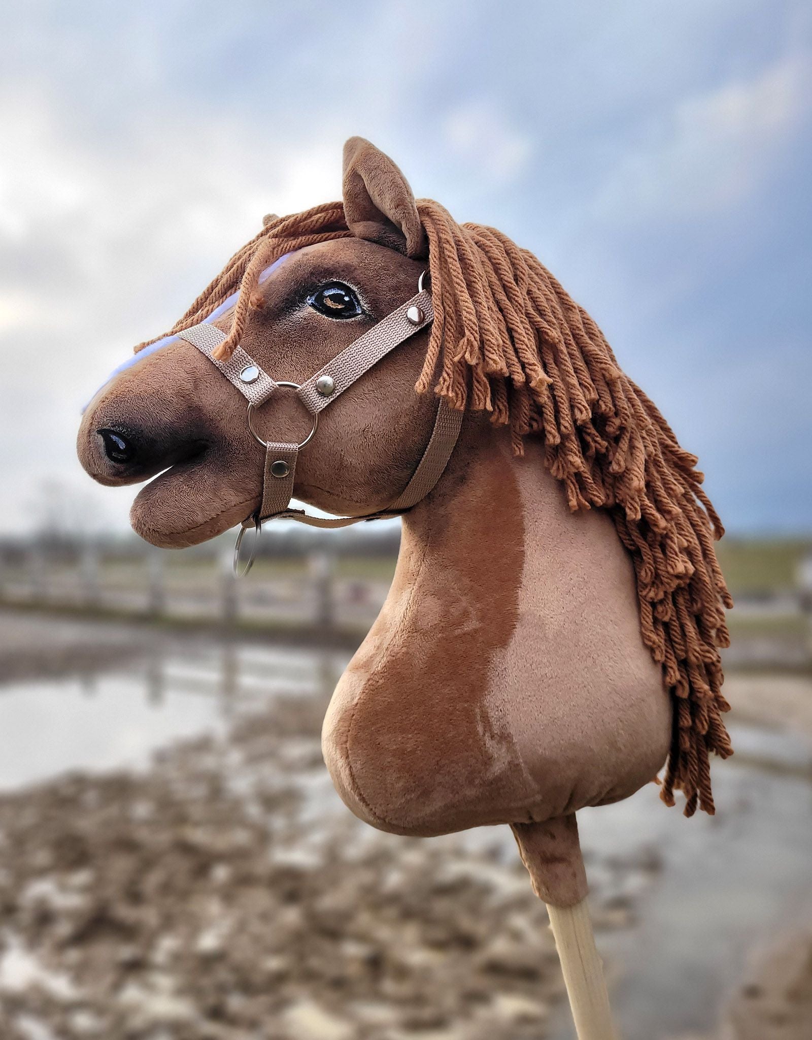 HORSE-14-A3