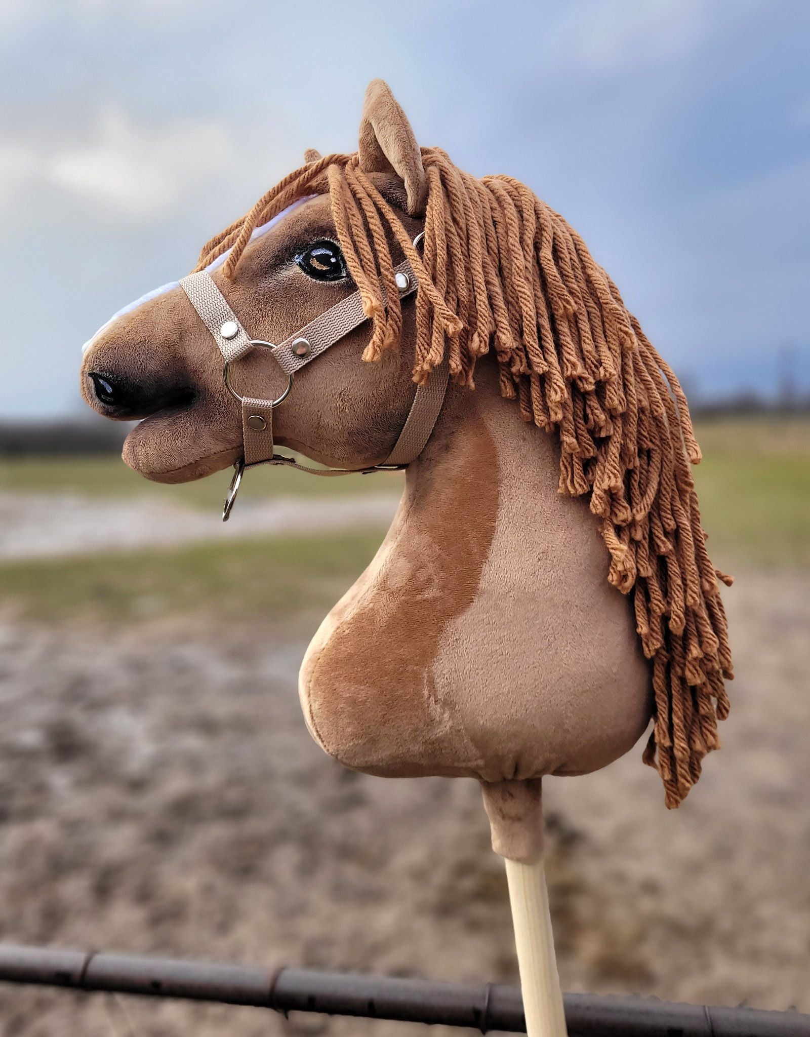 HORSE-14-A3