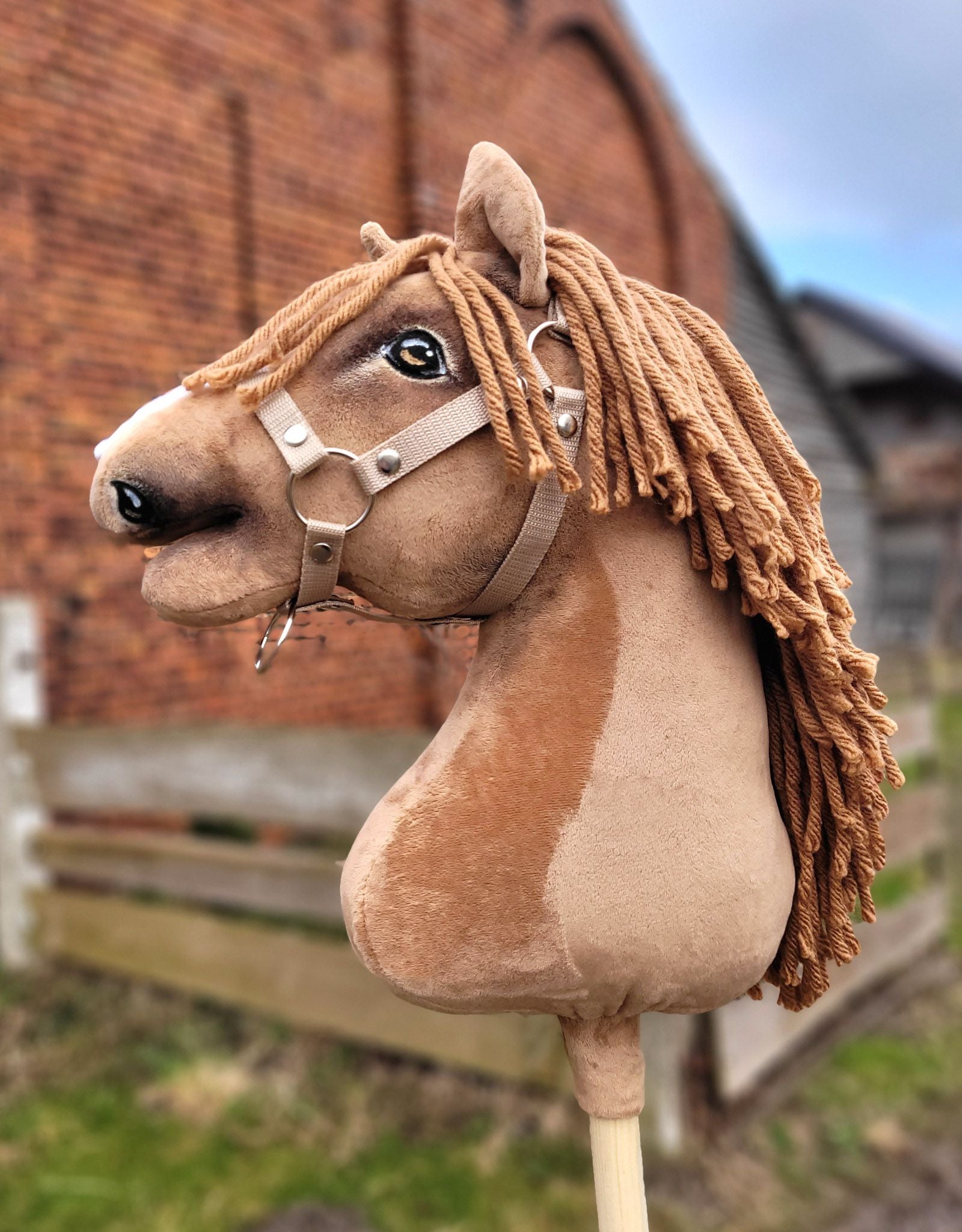 HORSE-14-A3