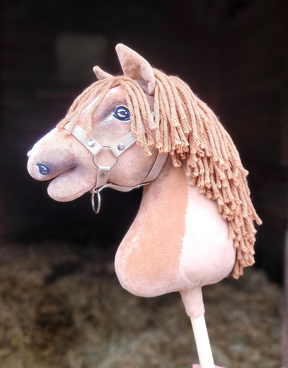 HORSE-14-A3
