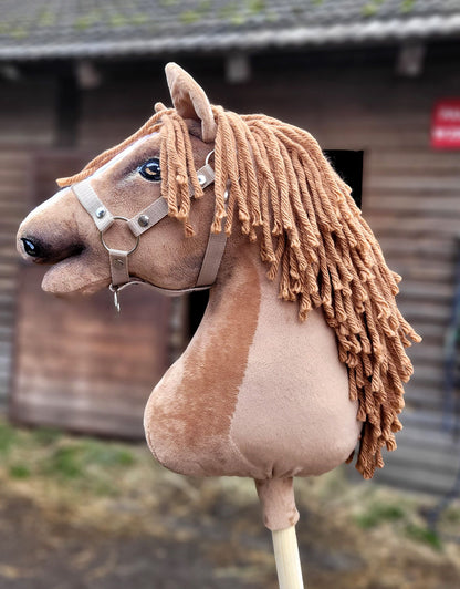 HORSE-14-A3