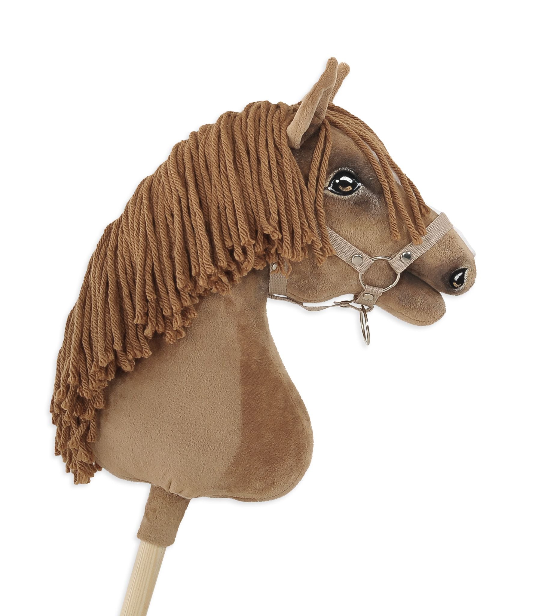 HORSE-14-A3
