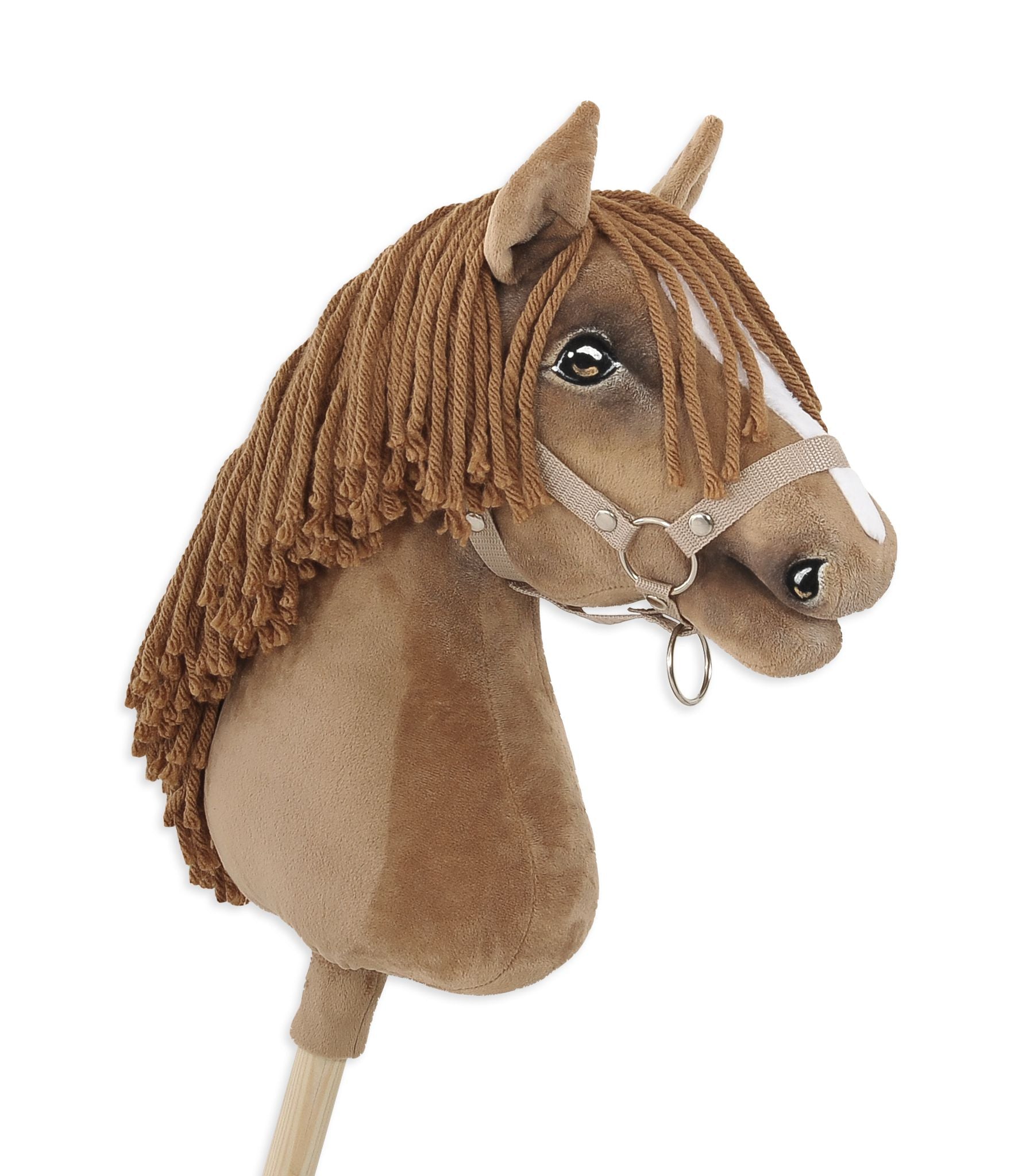 HORSE-14-A3