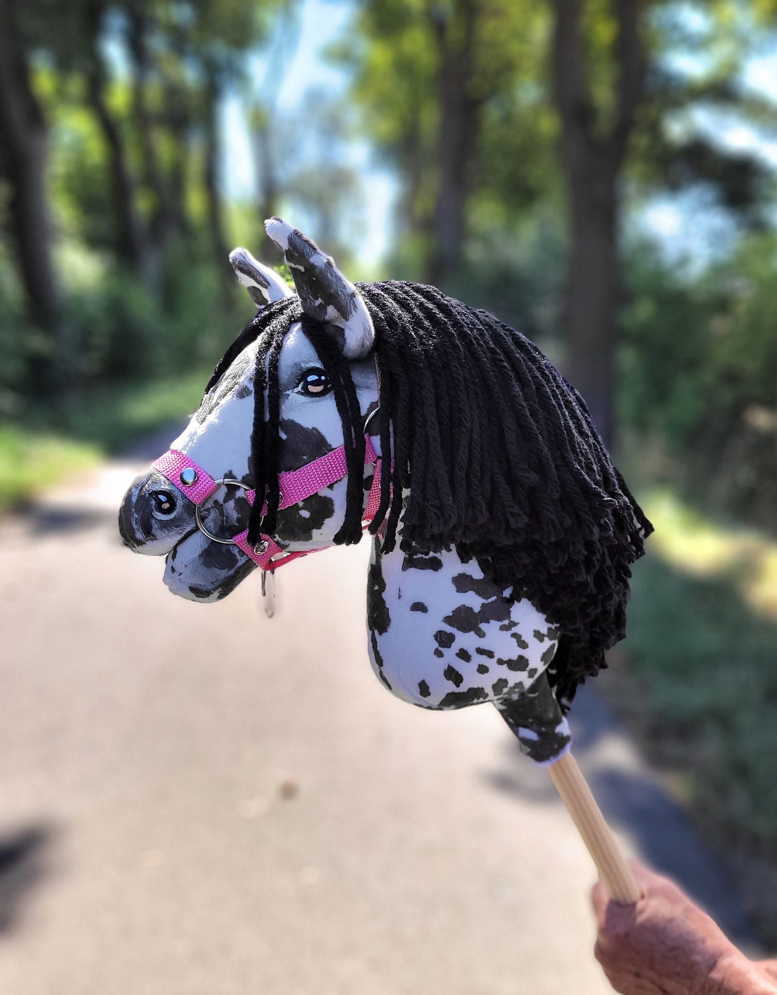 HORSE-41-A4